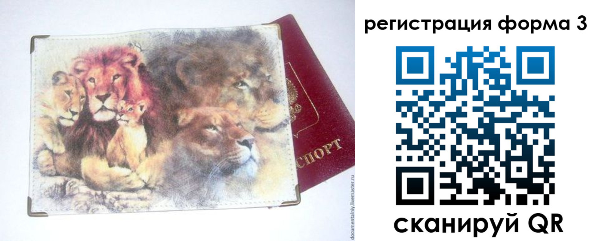 прописка в квартире в Апшеронске